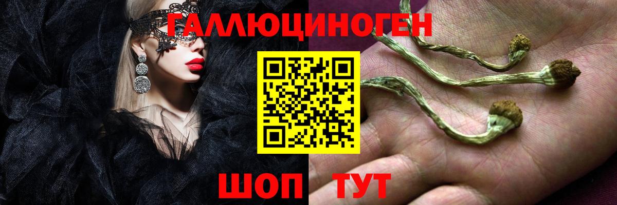 Галлюциногенные грибы Psilocybe  Галлюциногенные грибы Psilocybine cubensis  Вход с VPN  Чехов 